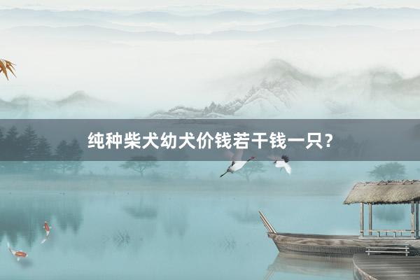 纯种柴犬幼犬价钱若干钱一只？